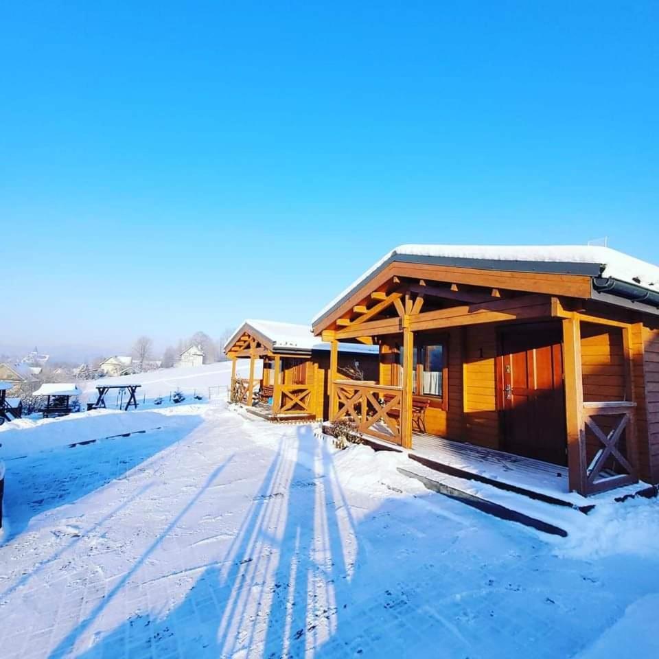 Domki Pod Lasem Villa Rokiciny Podhalanskie Exterior photo